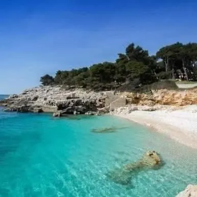 아파트 David 풀라